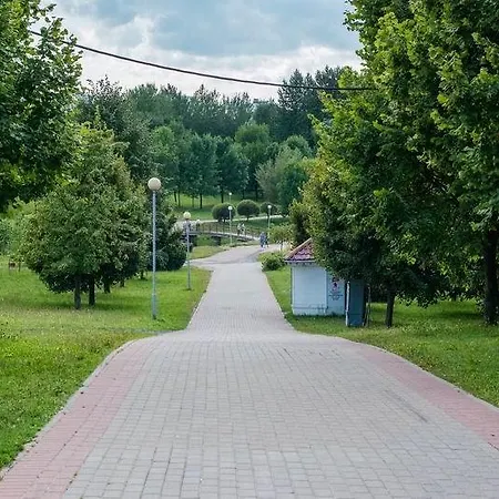 Room In Apartment Проживание в семье